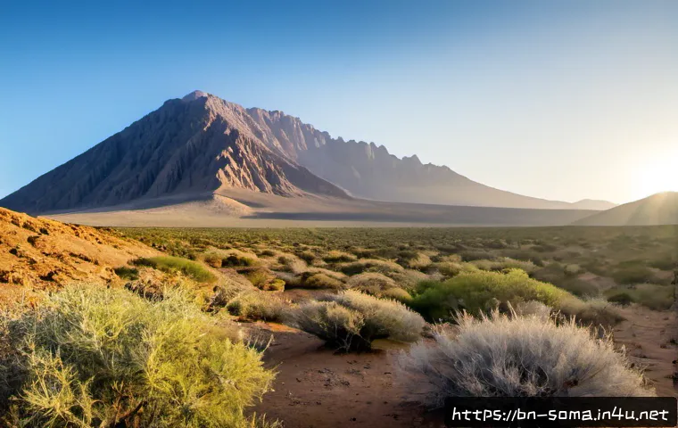 소말리아에서 가장 높은 산 - Photorealistic panoramic view of Mount Shimbiris, the highest mountain in Somalia, rising above the ...
